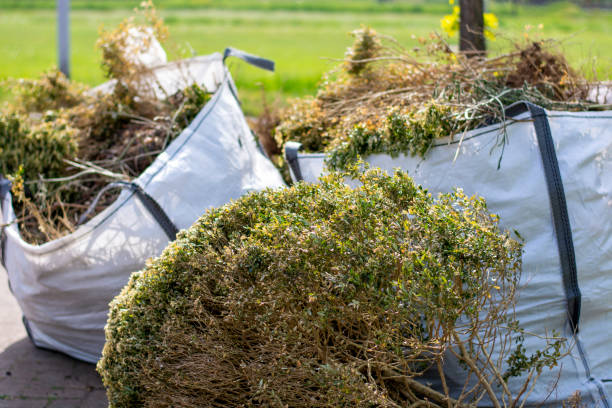 Best Full-Service Junk Removal  in Shackle Island, TN